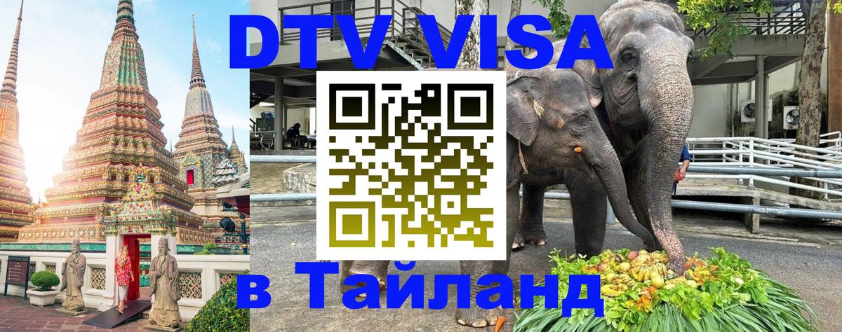 Оформление DTV визы под ключ: стоимость и тарифы, только загранпаспорт - 05.12.2025 